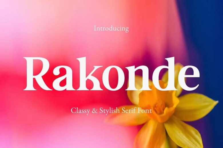 Rakonde Font - Fonts Hut